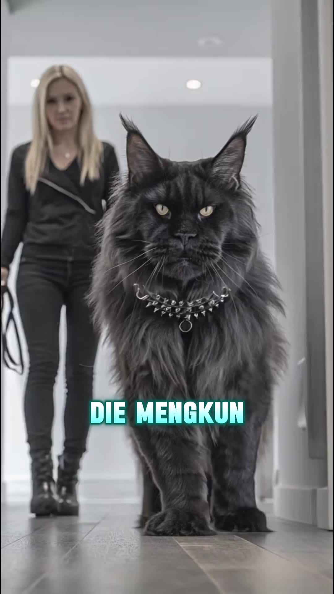 @vbrazcibm8