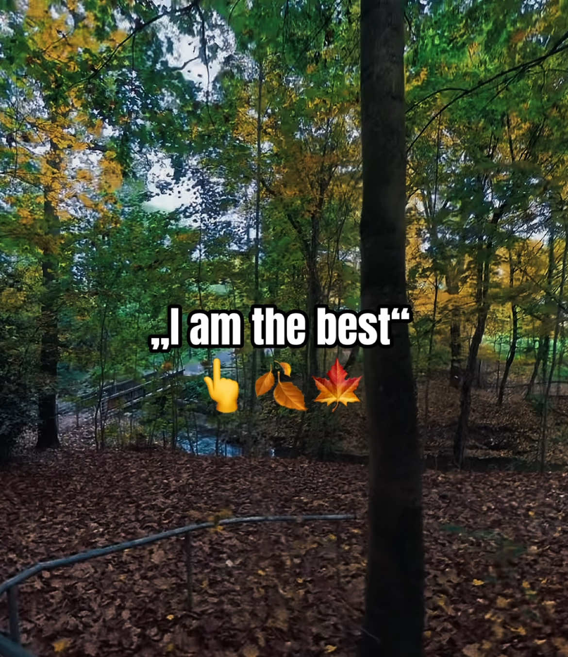 @blxe.editz