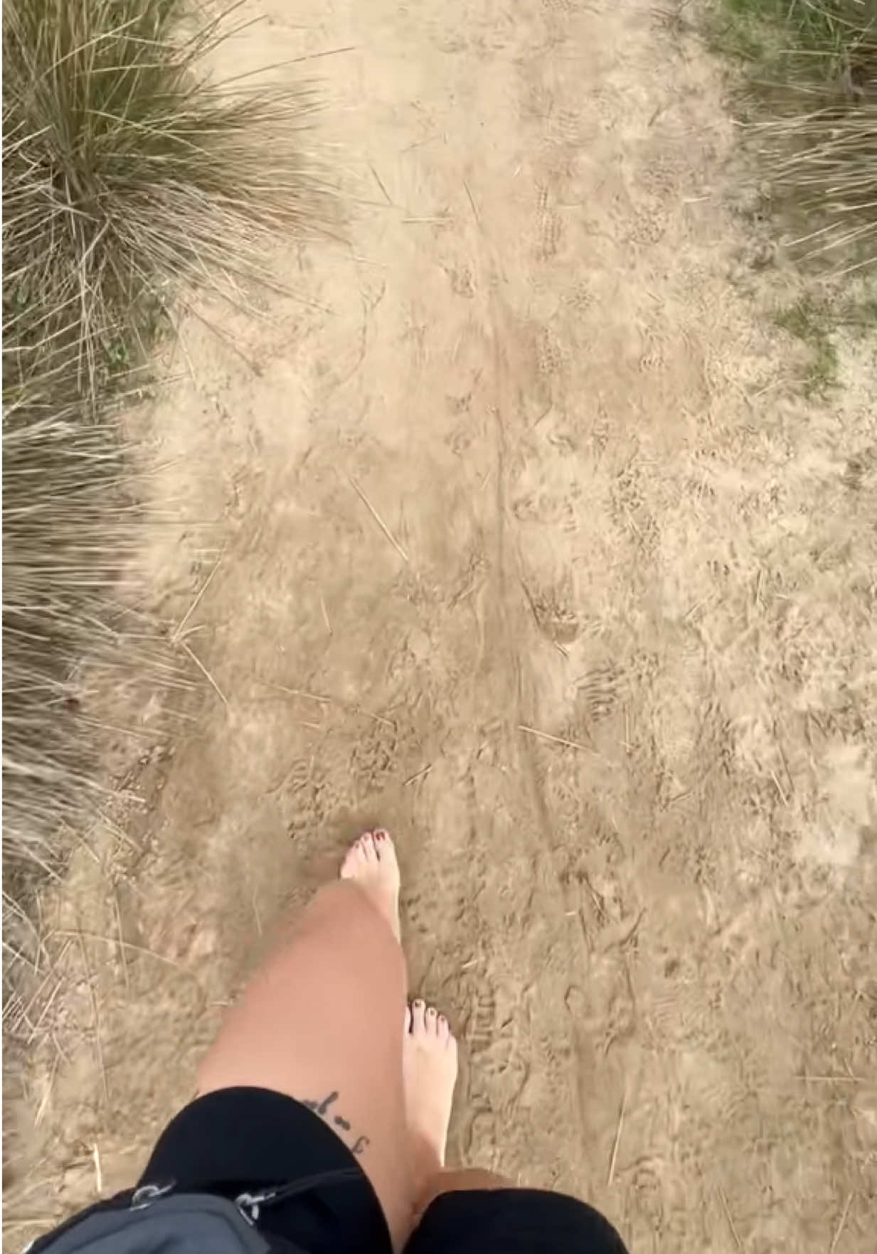 @StewardessLara
