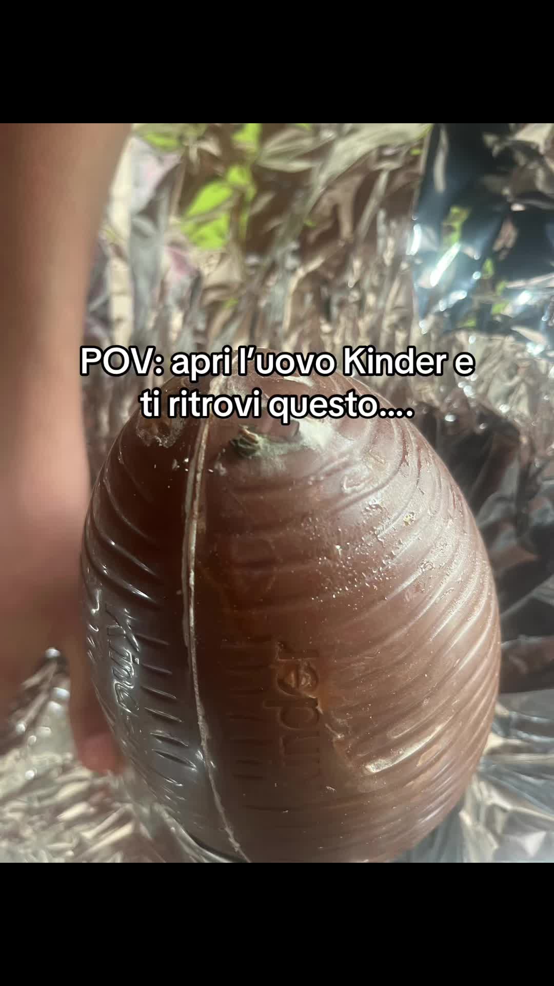 @francesca 🐇
