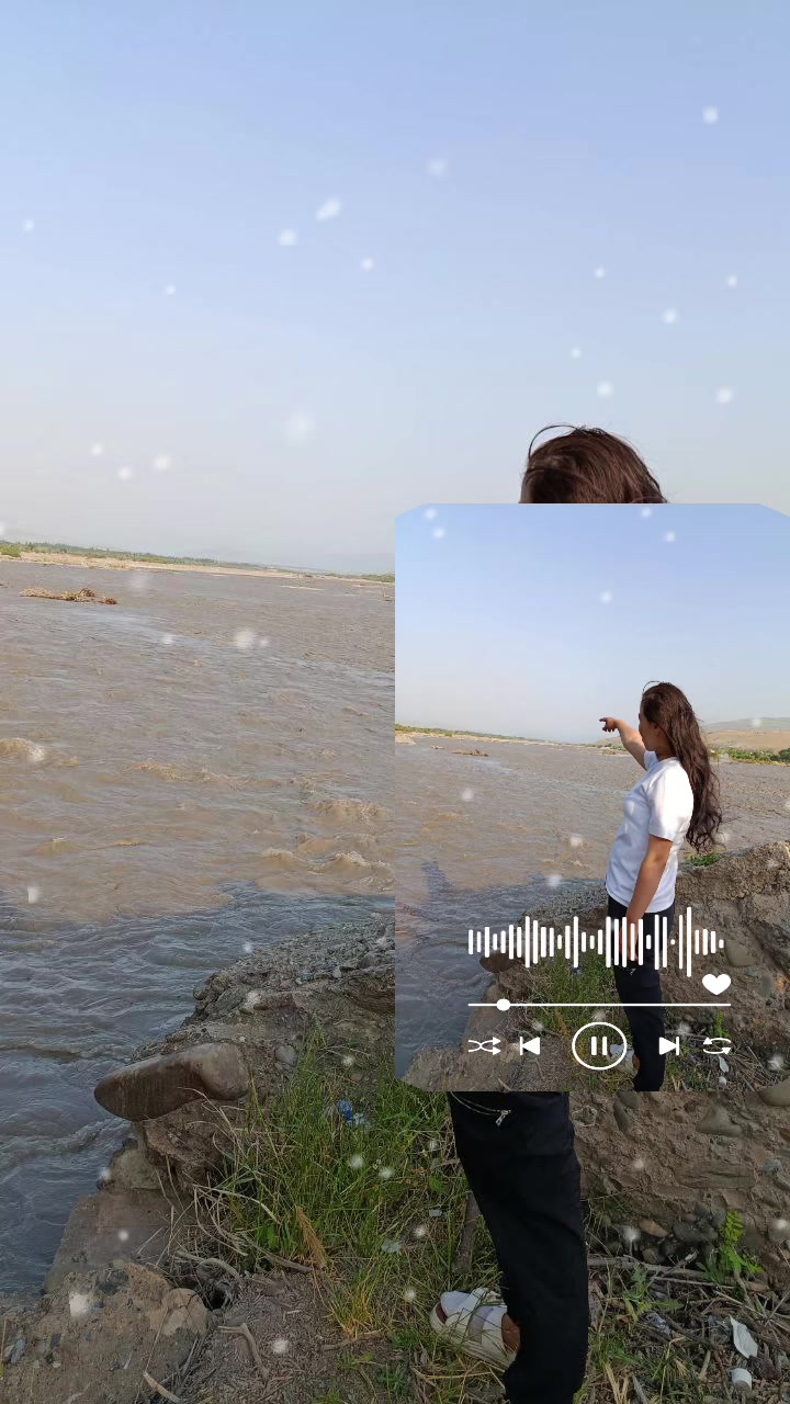 @zamonam