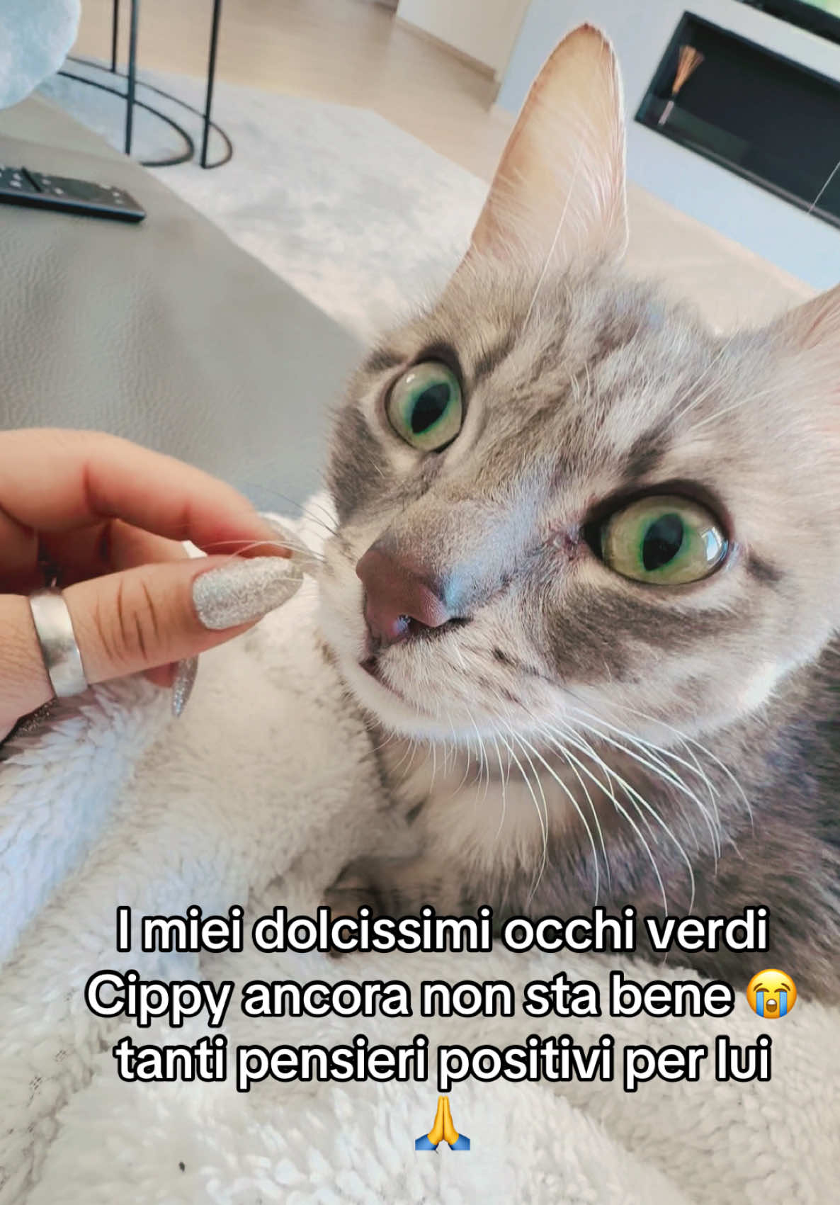 @Cippy & Romeo-a🤣