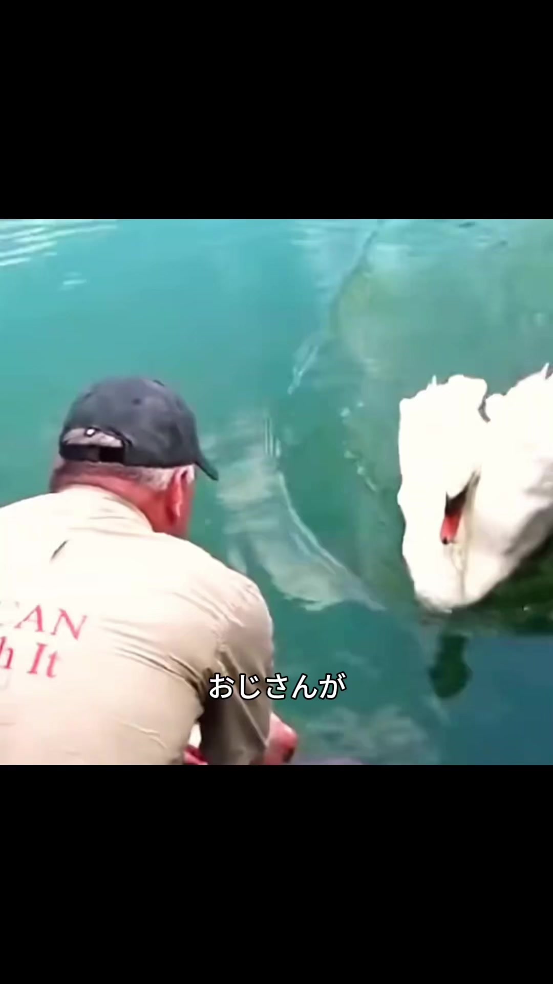 @斎藤アウトドア