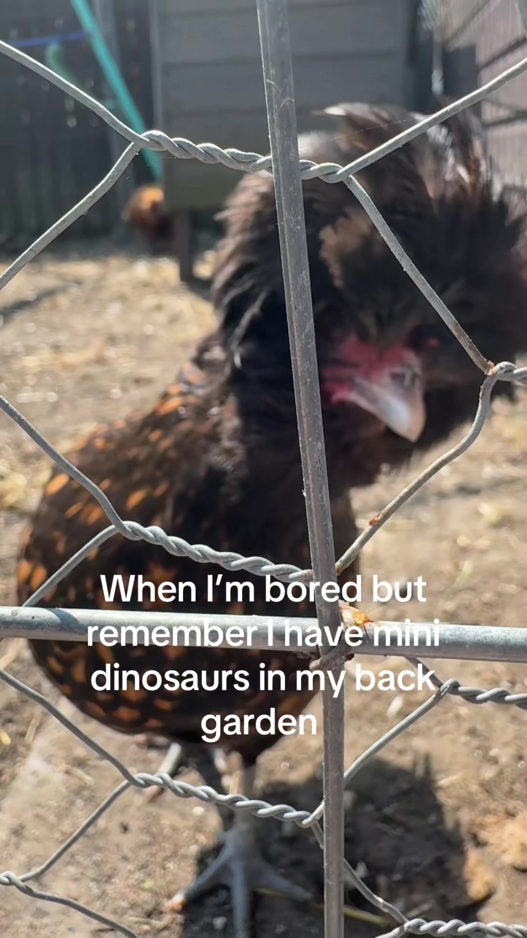 @🤍𝓜𝓲𝓶𝓲🤍