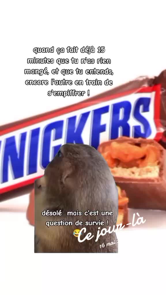 @โฝ โ ๐ฎ๐๐๐๐ โ โพ