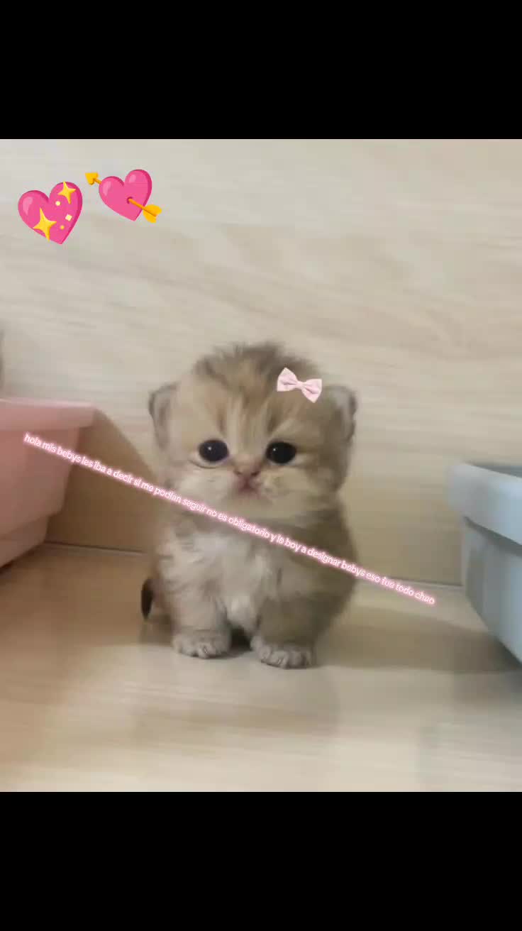 @โ. ๐ หHELLOโ. ๐ ห