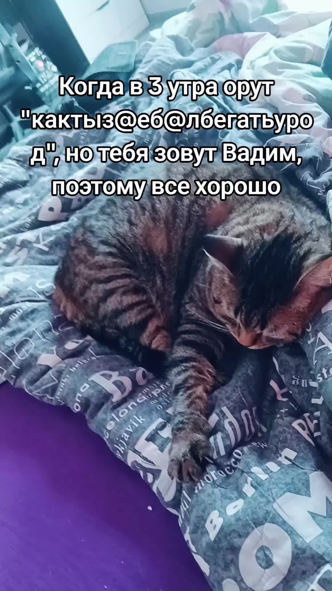 @Я Паша