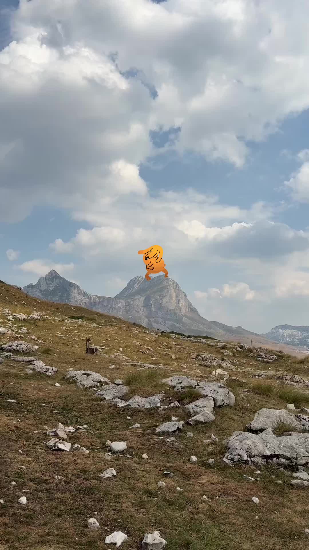 @wowthatsagoodphoto