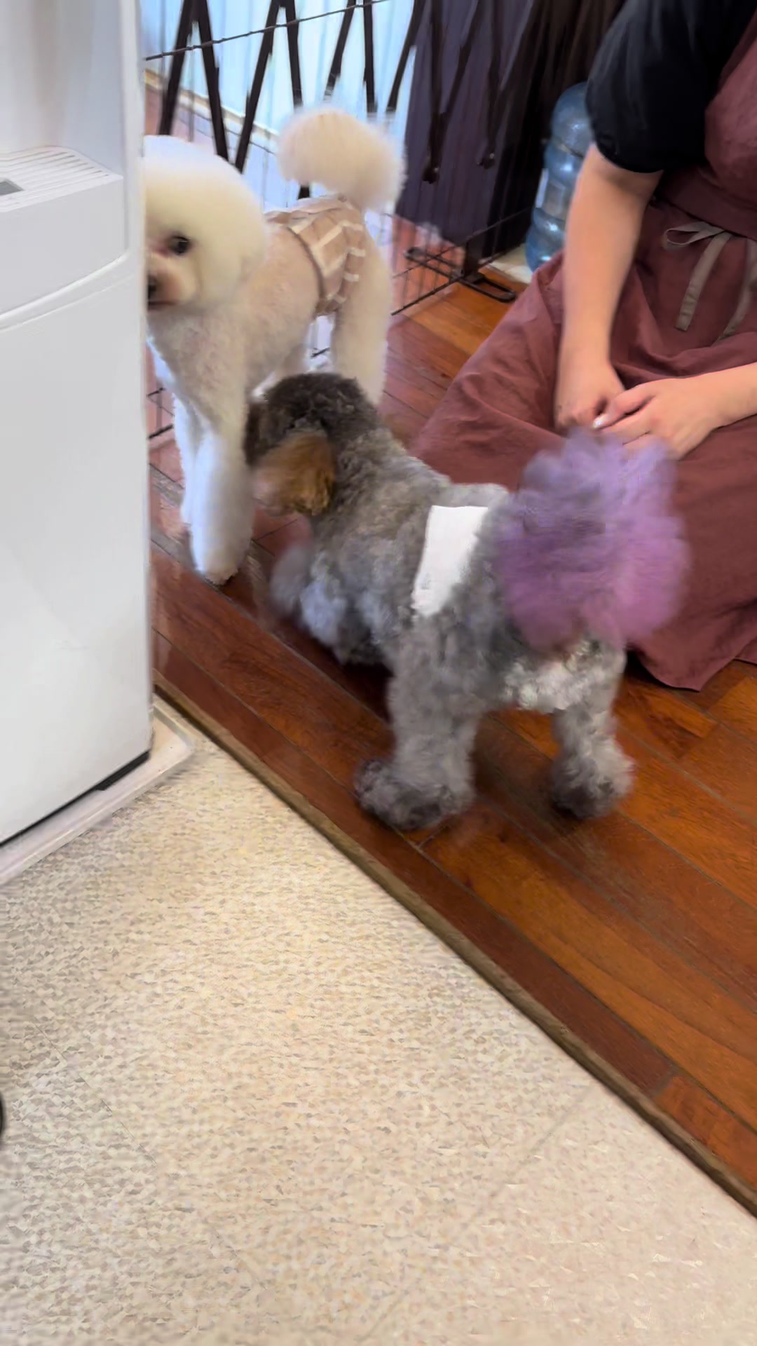 @petsalon_connect