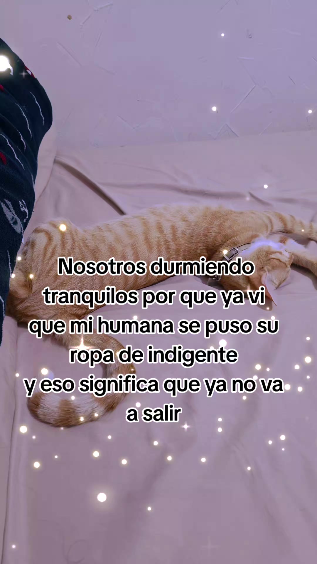 @🖤3str3lla🖤