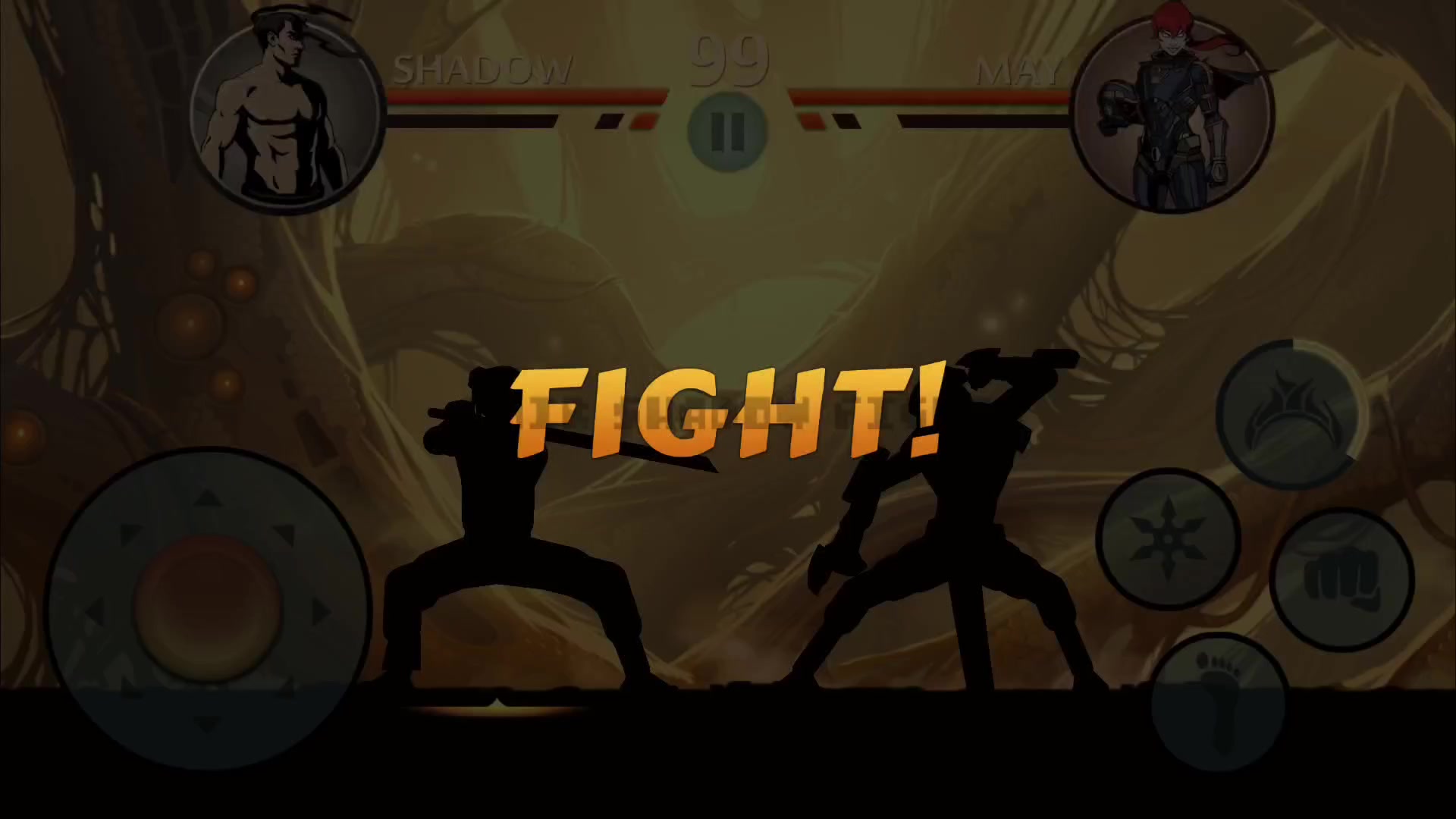 @Amir Shadow Fight