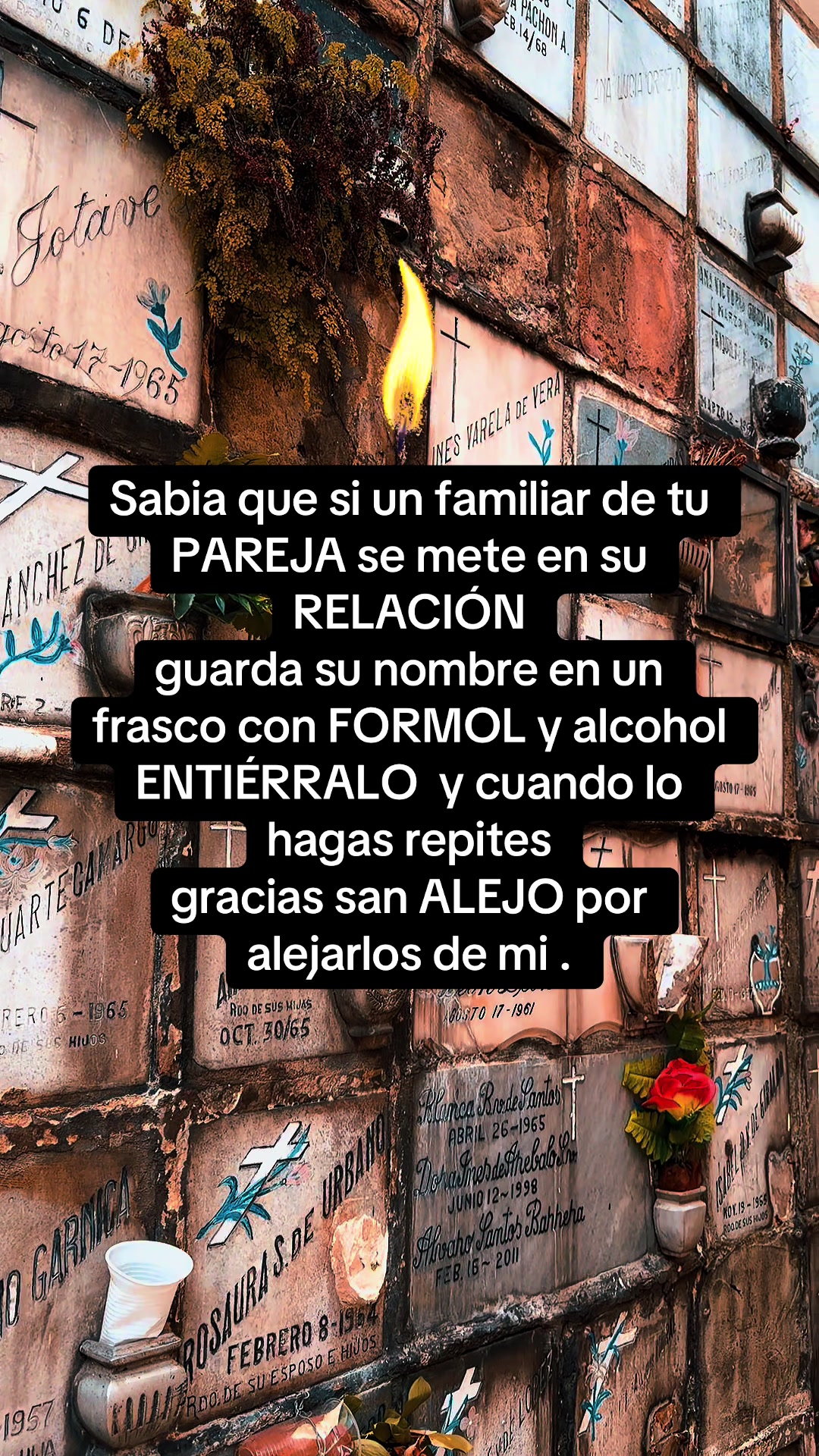 @Amarres De Amor Efectivos✨