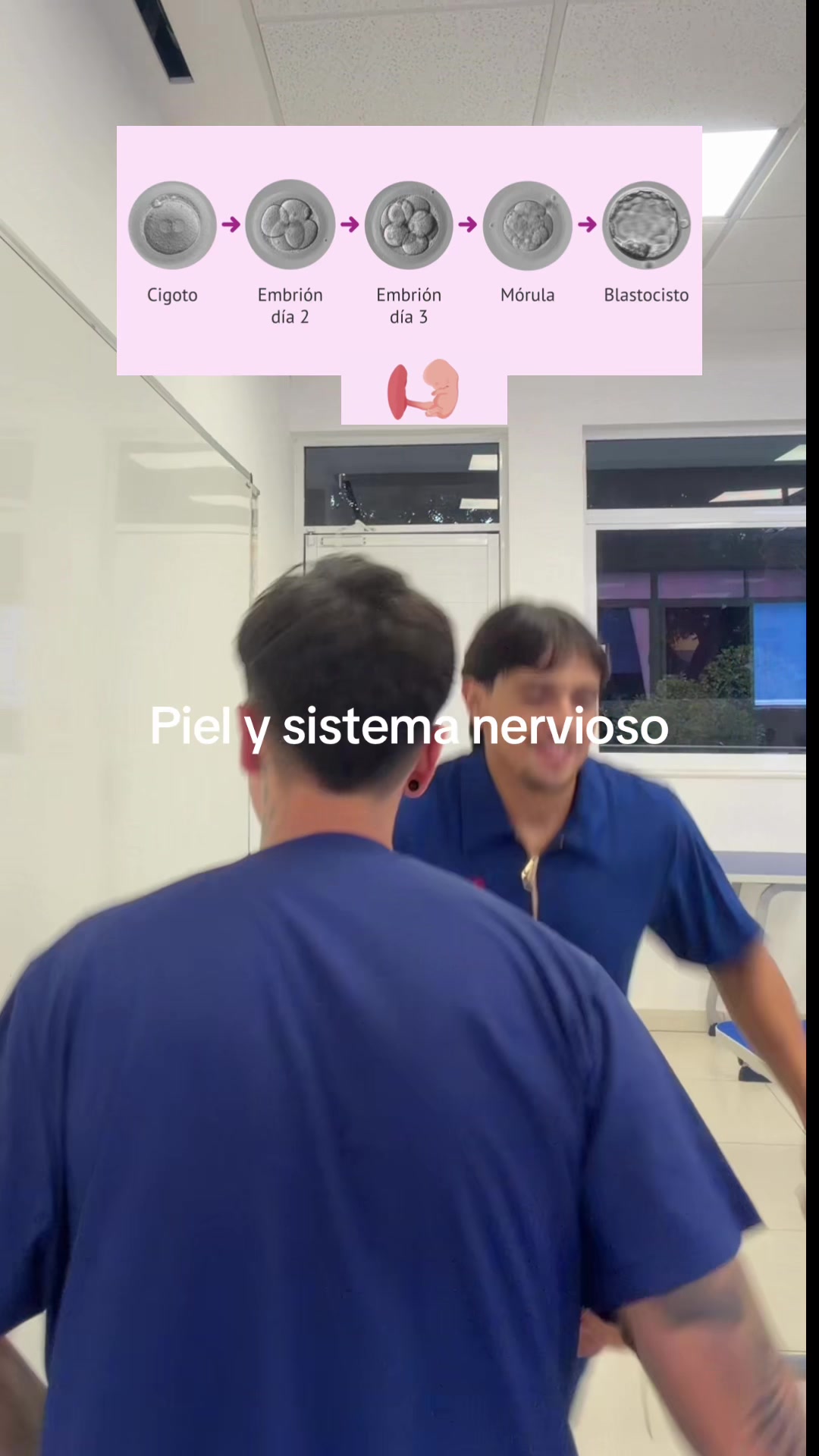 @ENDOBOY