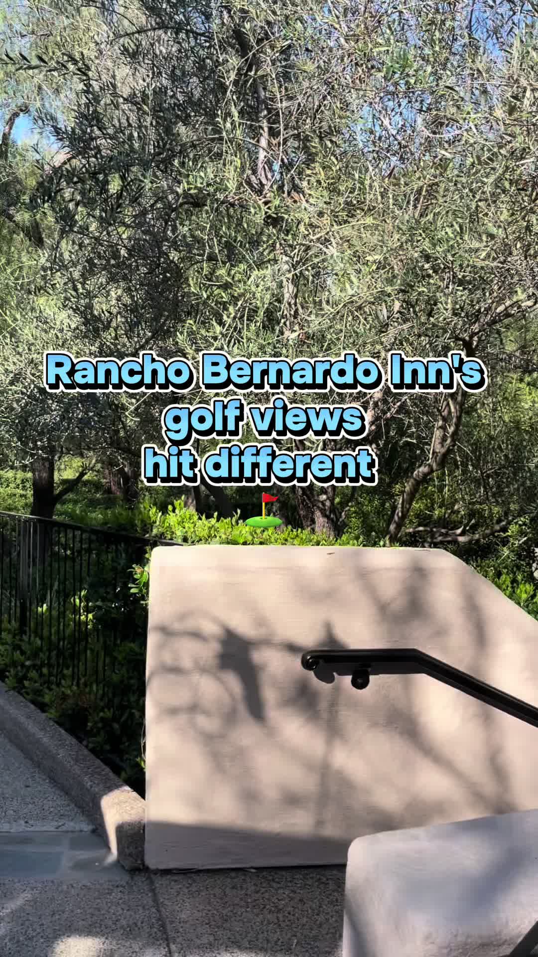 @Your_travel_guide