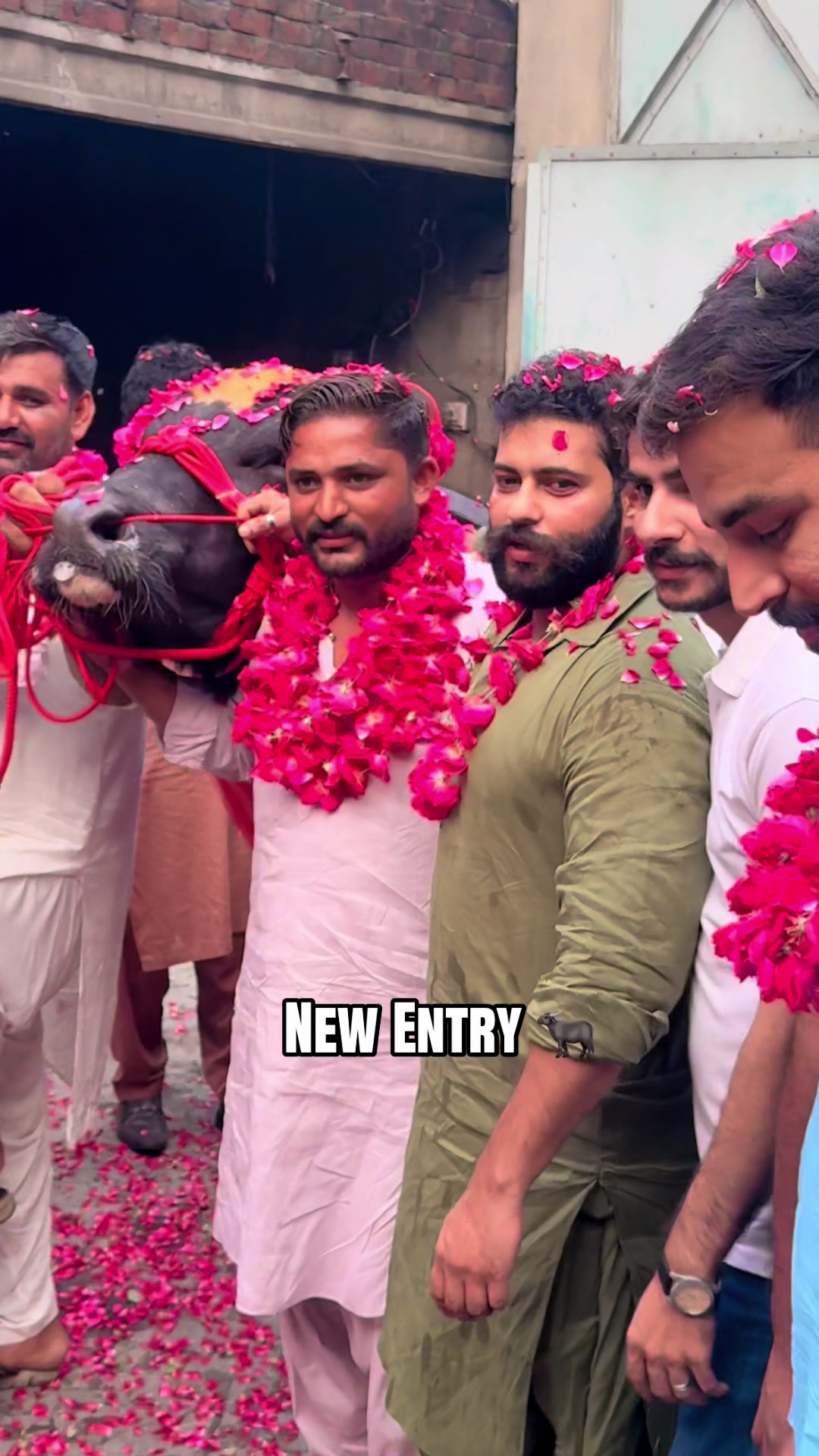 @UMAIR MUGHAL