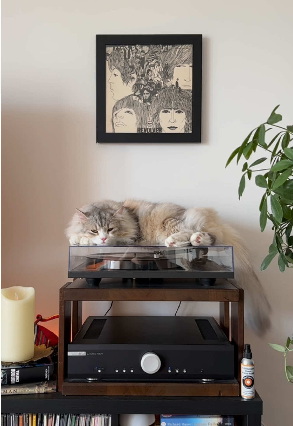 @Leon The Vinyl Cat