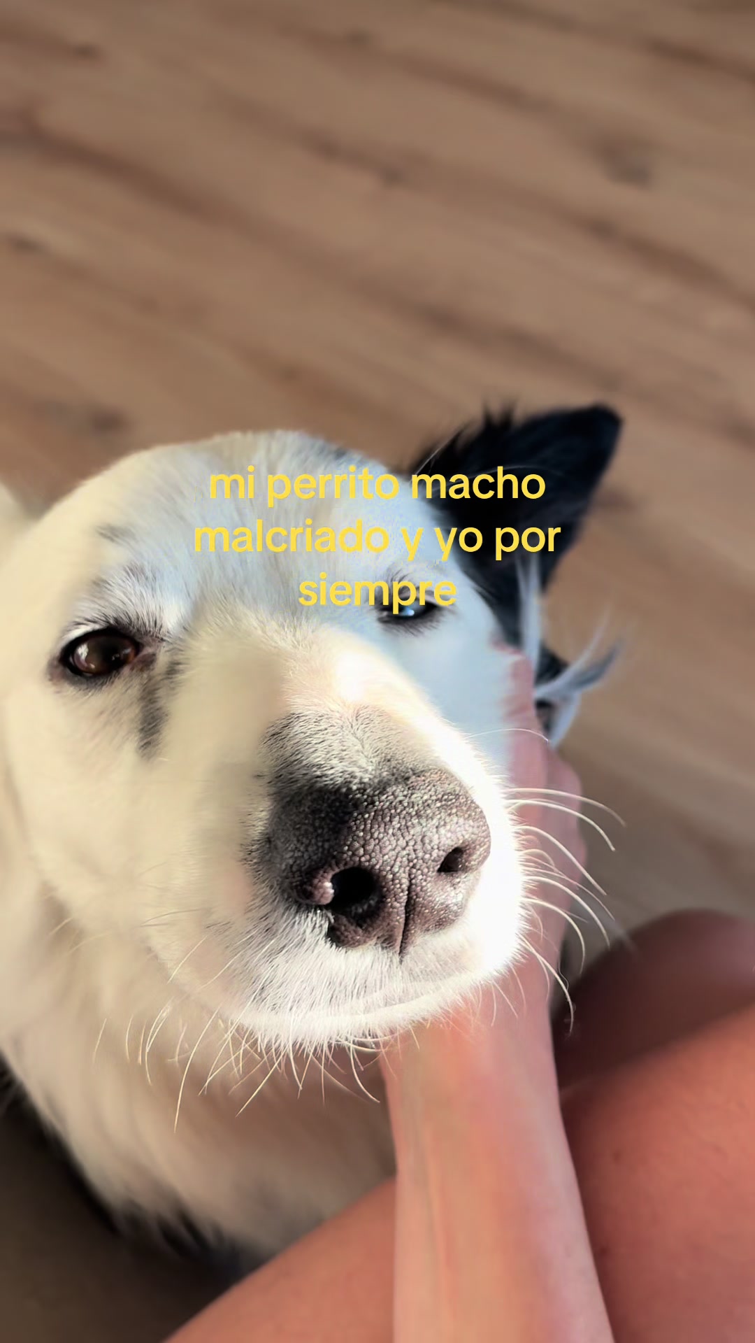 @Laura