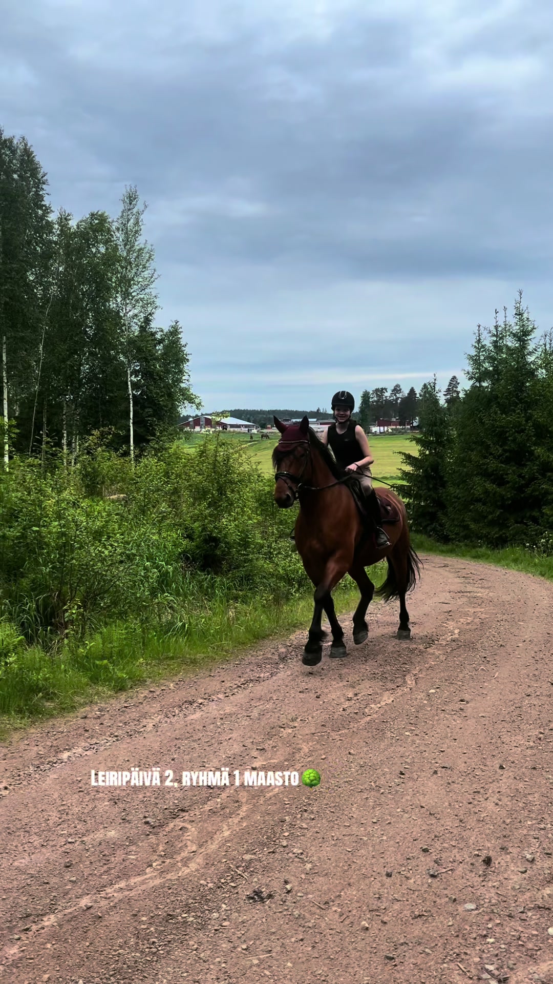 @Ponirannan talli🇫🇮🐎