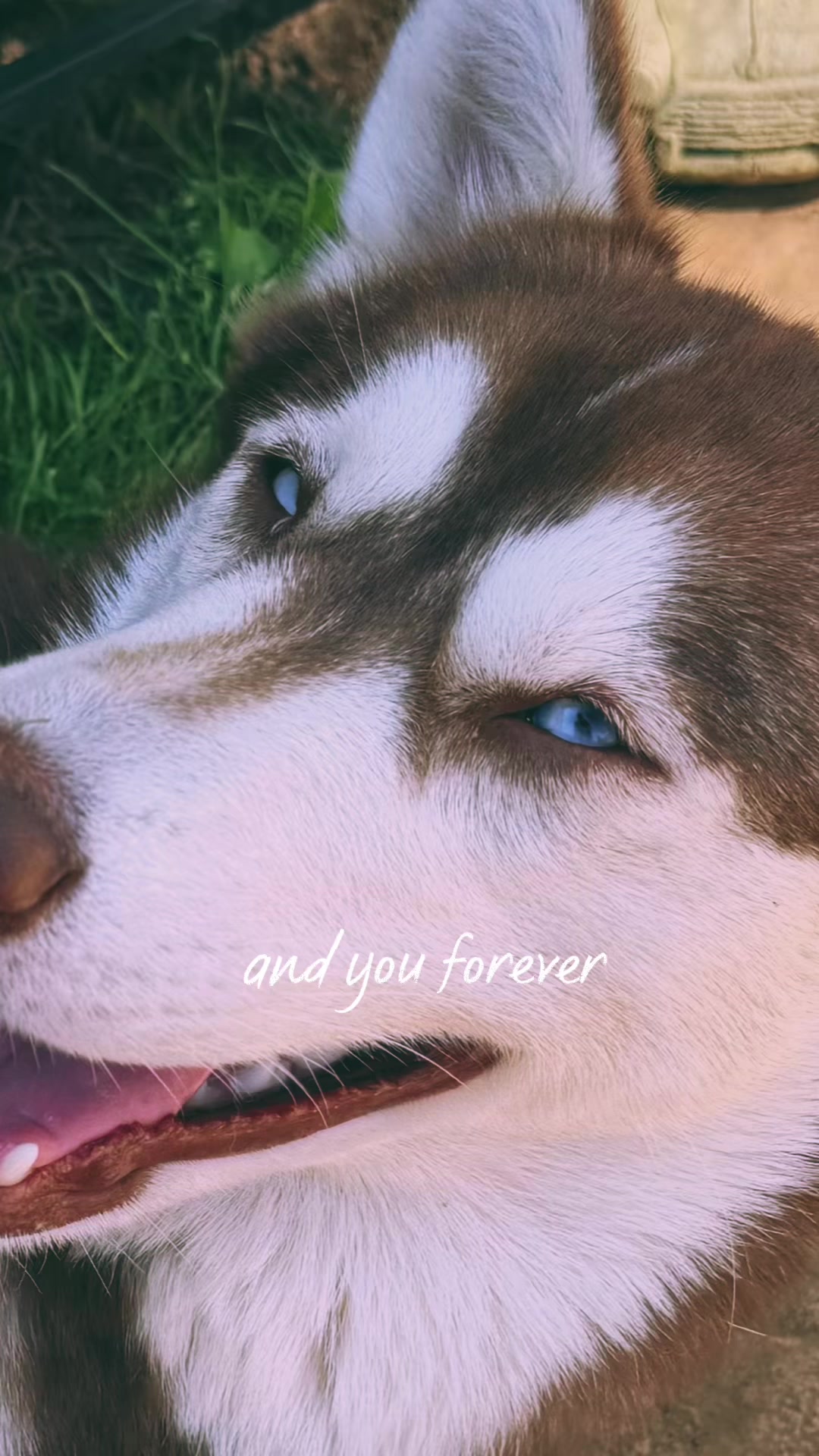 @Mishka