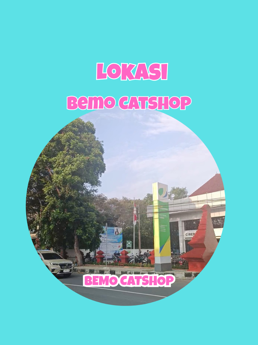 @Bemo Catshop