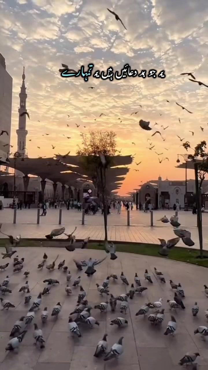 @Syeda-G 007