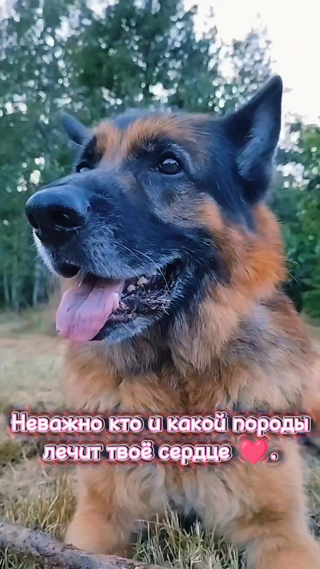 @oskar_mrpl