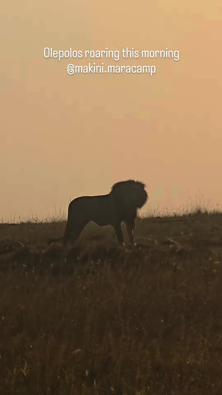 @Албена Граминова
