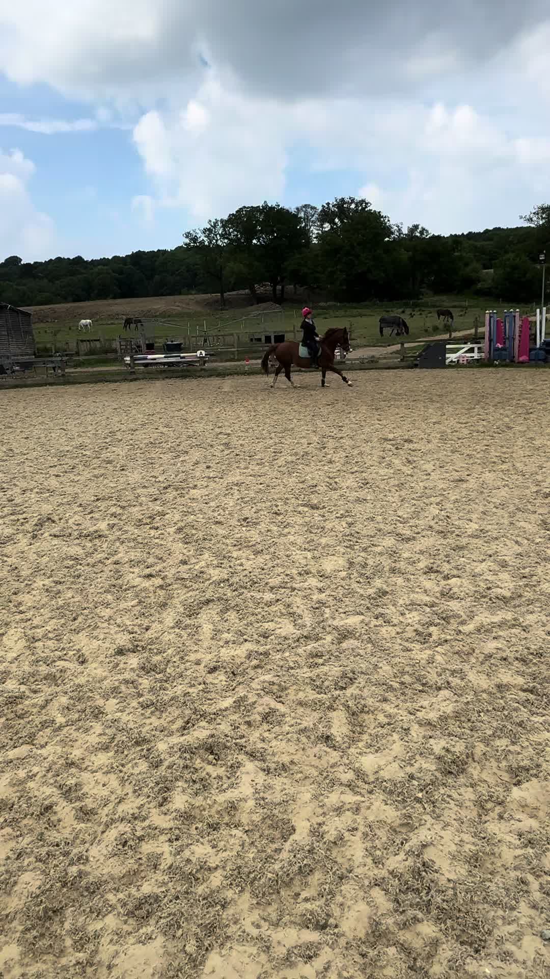 @Ruby🐴