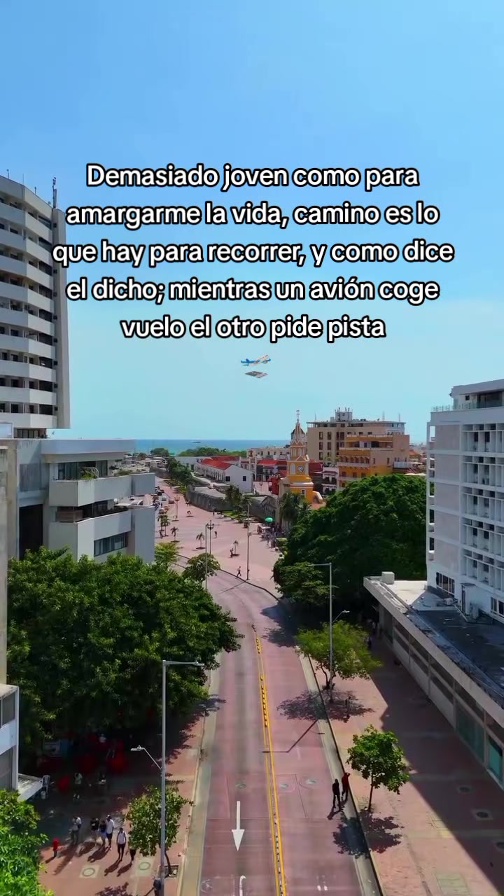 @✨️🌸Luz🌸✨️