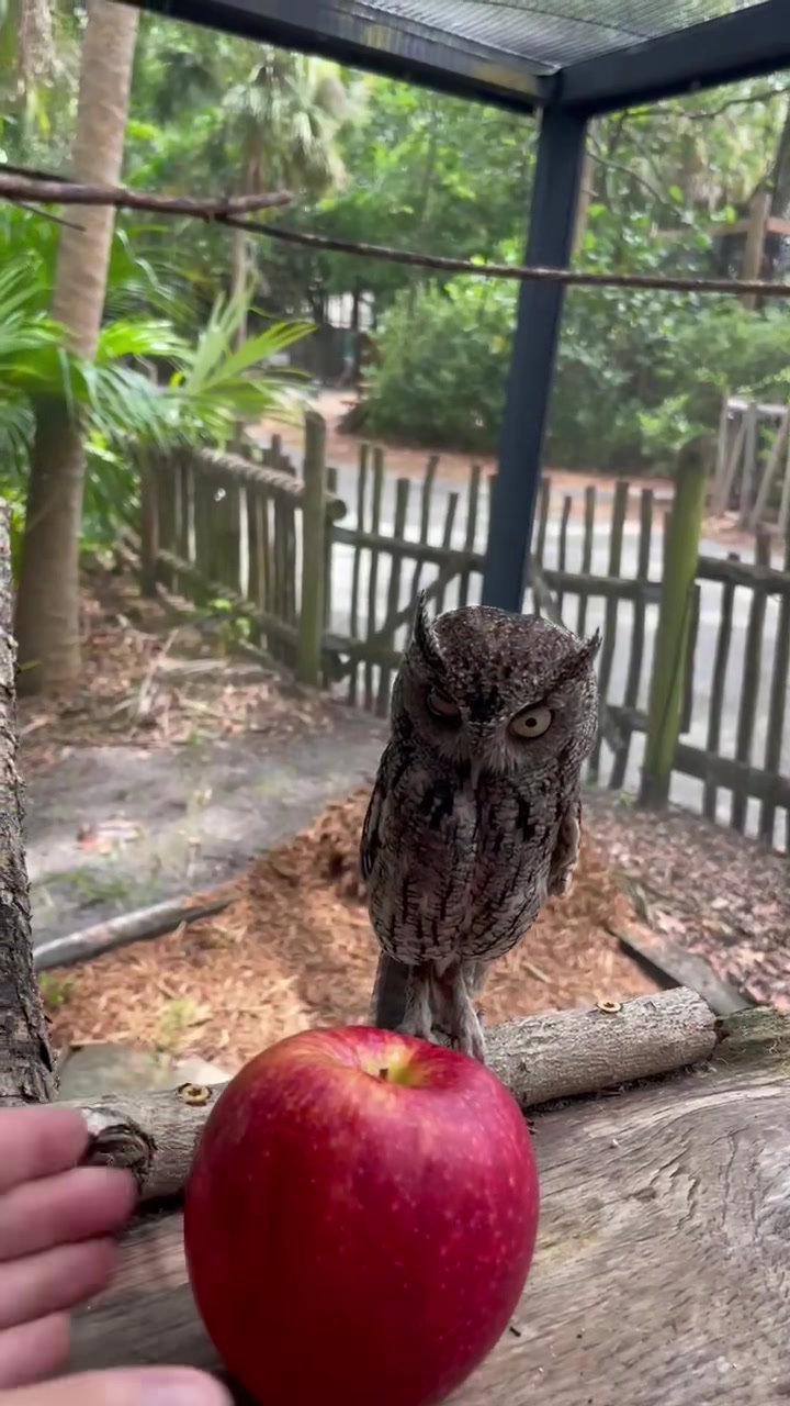 @Palm Beach Zoo