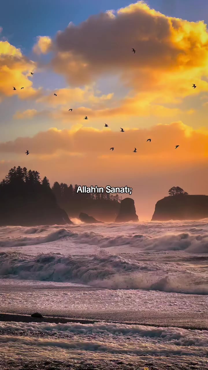 @𝐀𝐬𝐦𝐢𝐧🦋