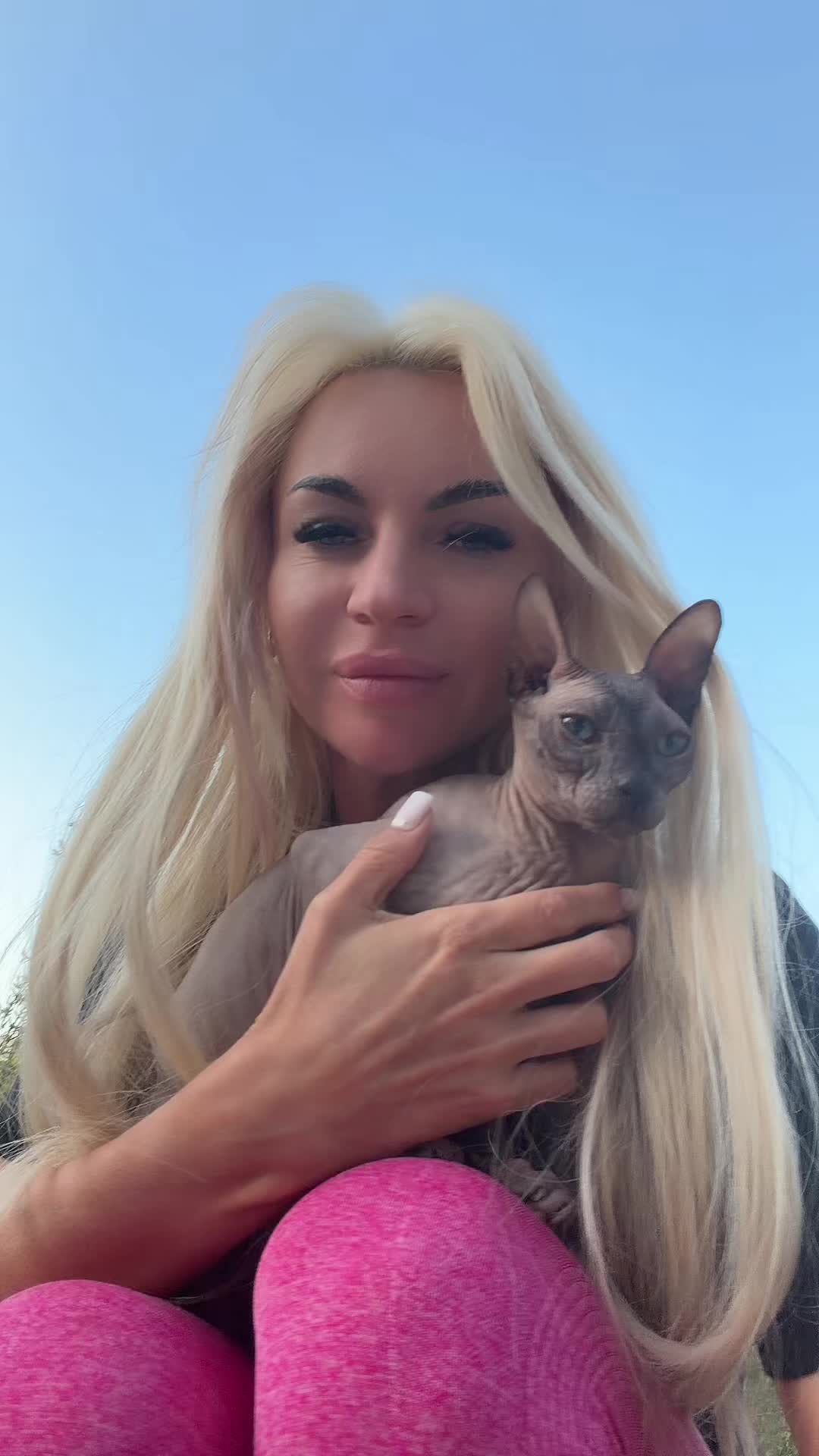 @кот бумер