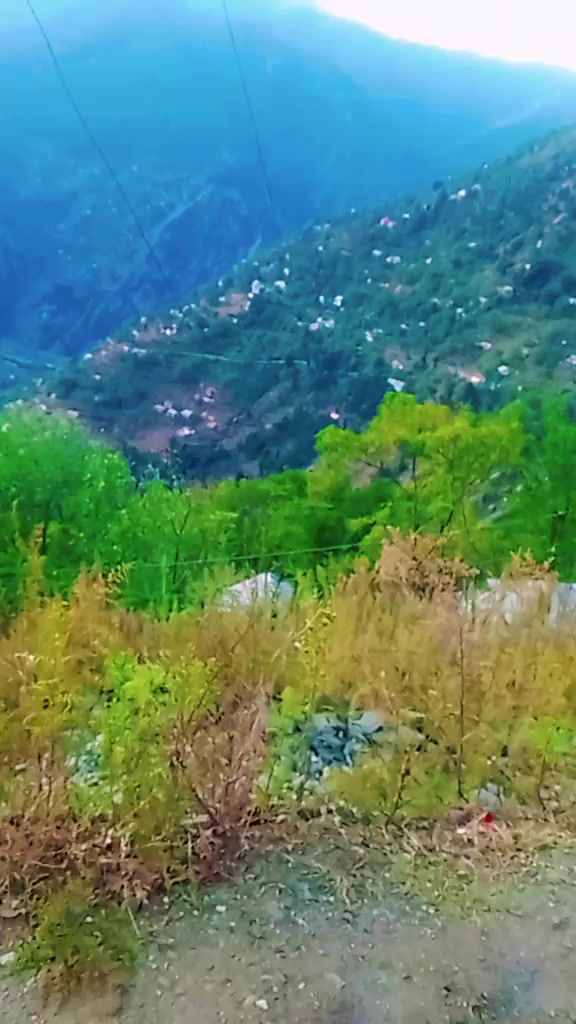 @raja babar