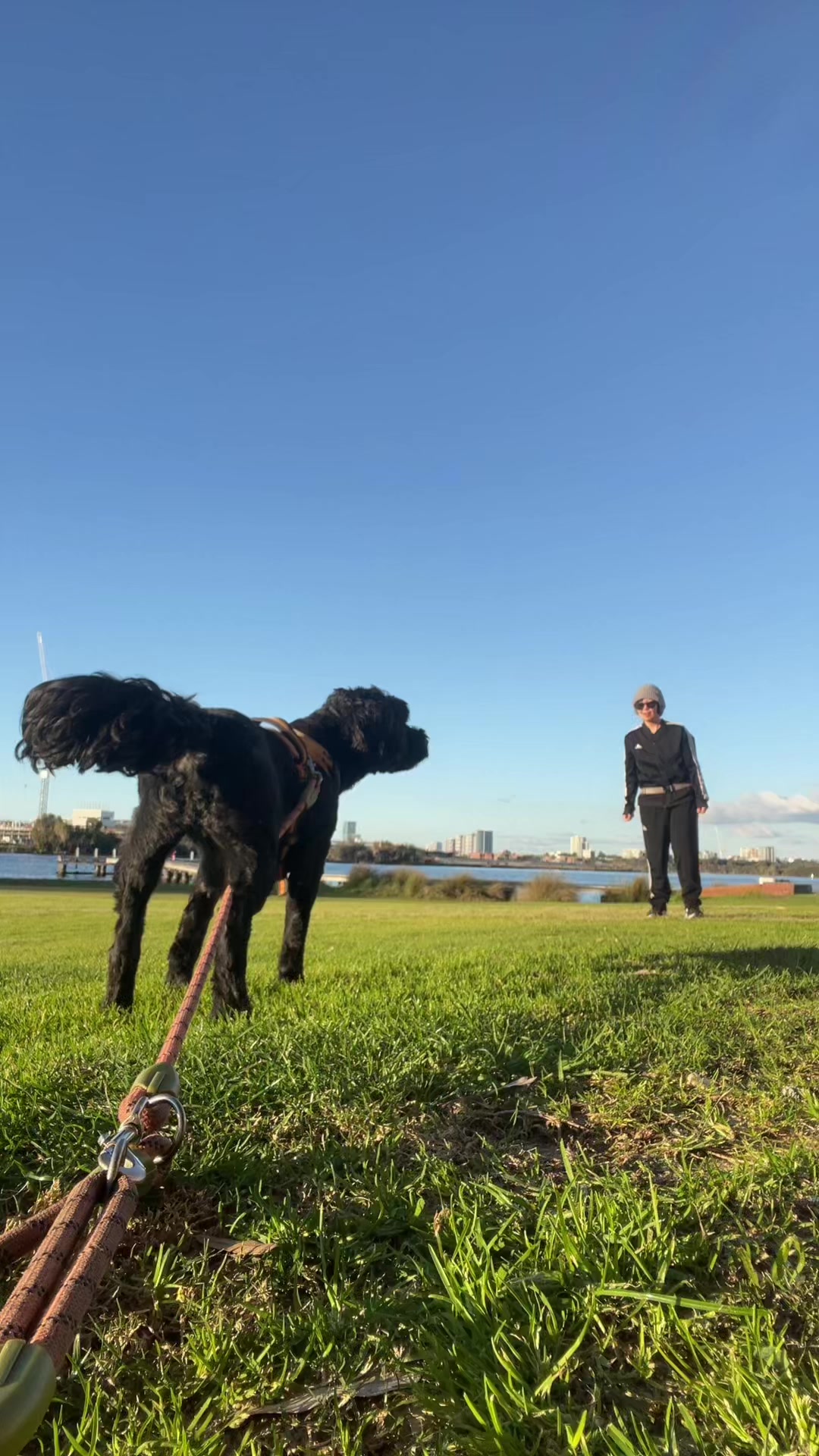 @Okarina | Perth Pawrent Guide