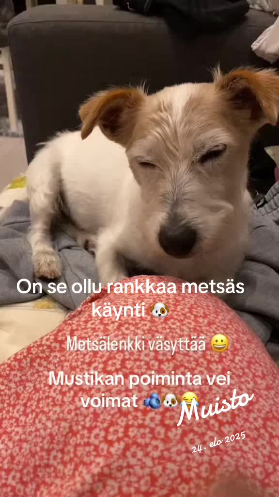 @_TienP&auml;&auml;ll&auml;_