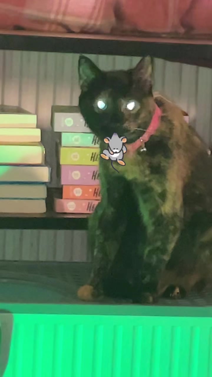 @Awesomepawsome2017