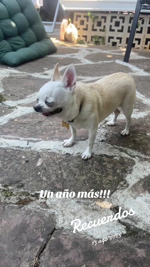 @Pepa Muñoz Cubero