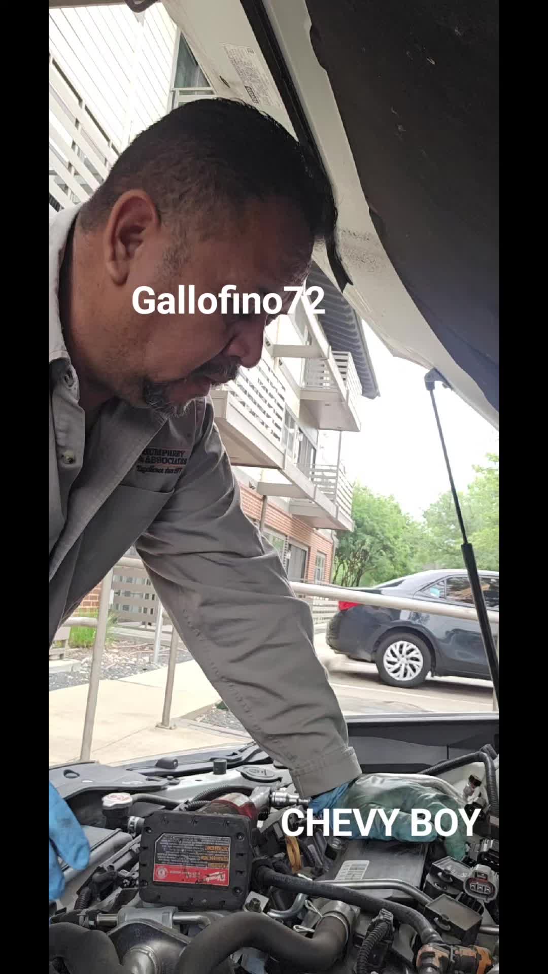 @ElGalloFino