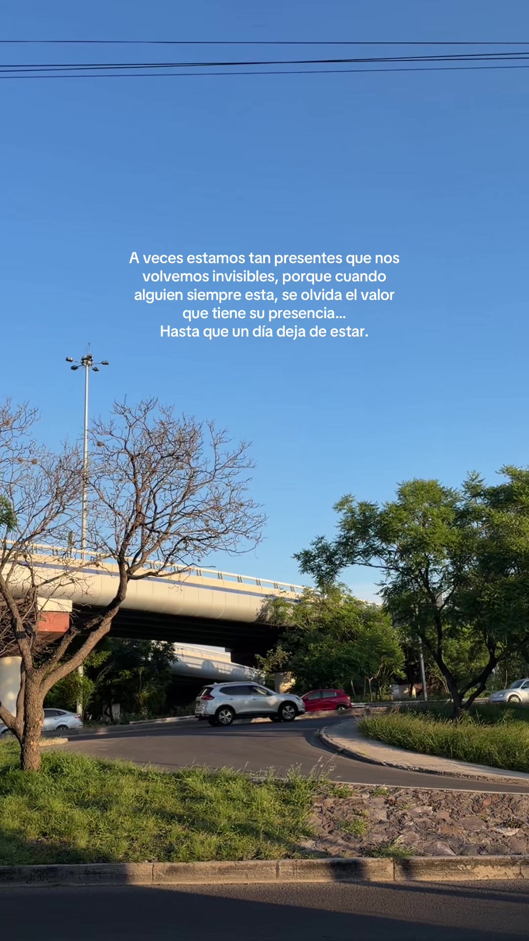 @Majo Téllez