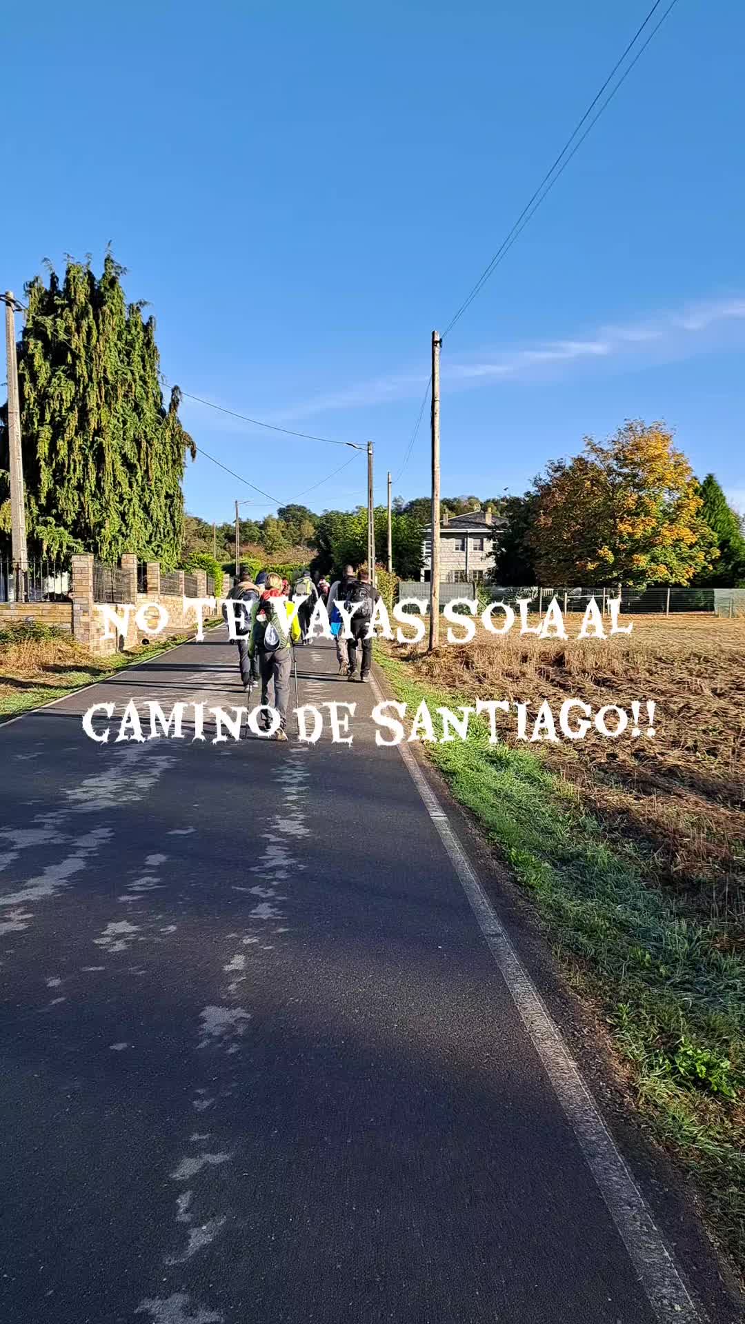 @Vive Rutas