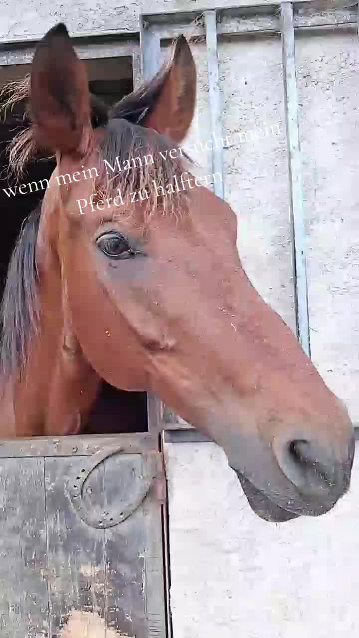 @☆Jҽ&alpha;ɳҽƚƚҽ☆