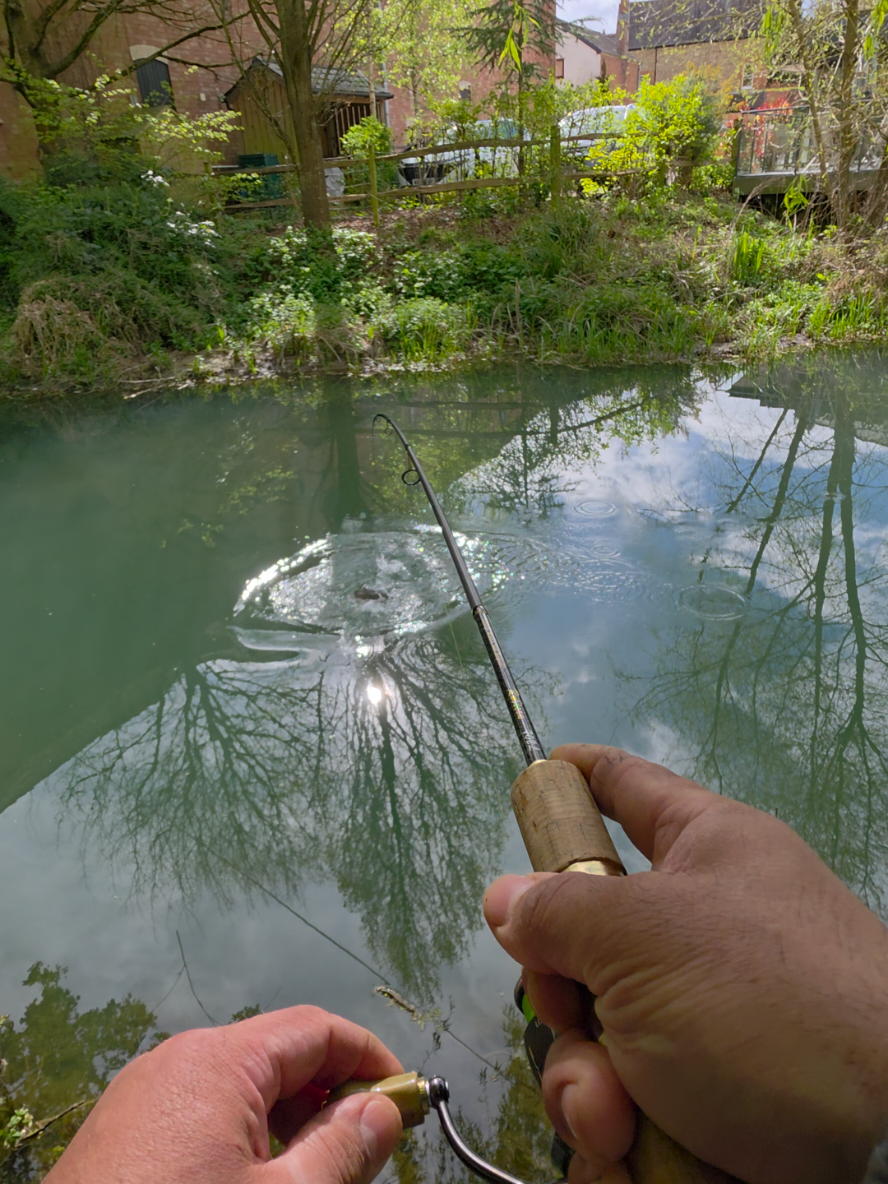 @BF Angler