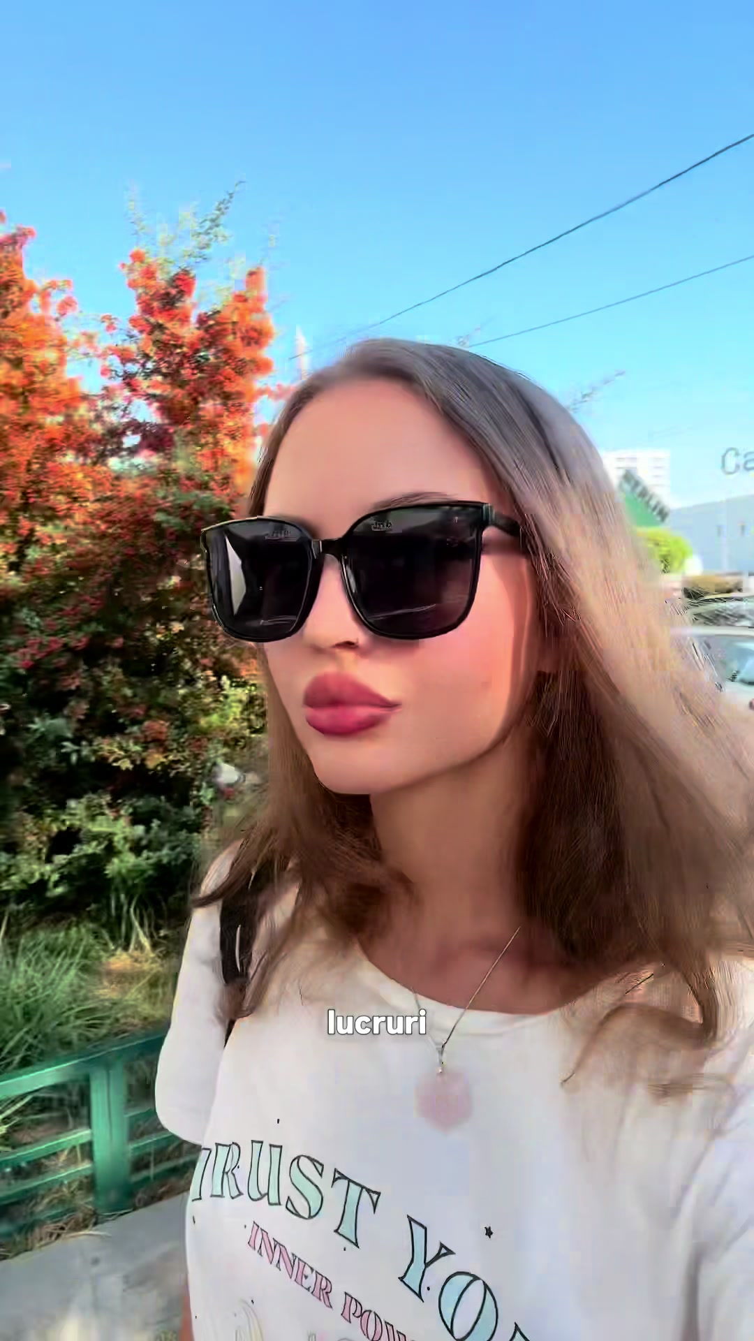 @Laura Vrabie
