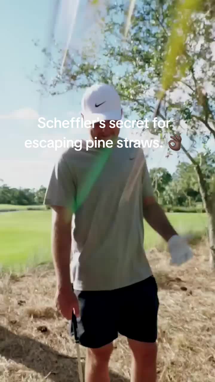 @Dear Golf