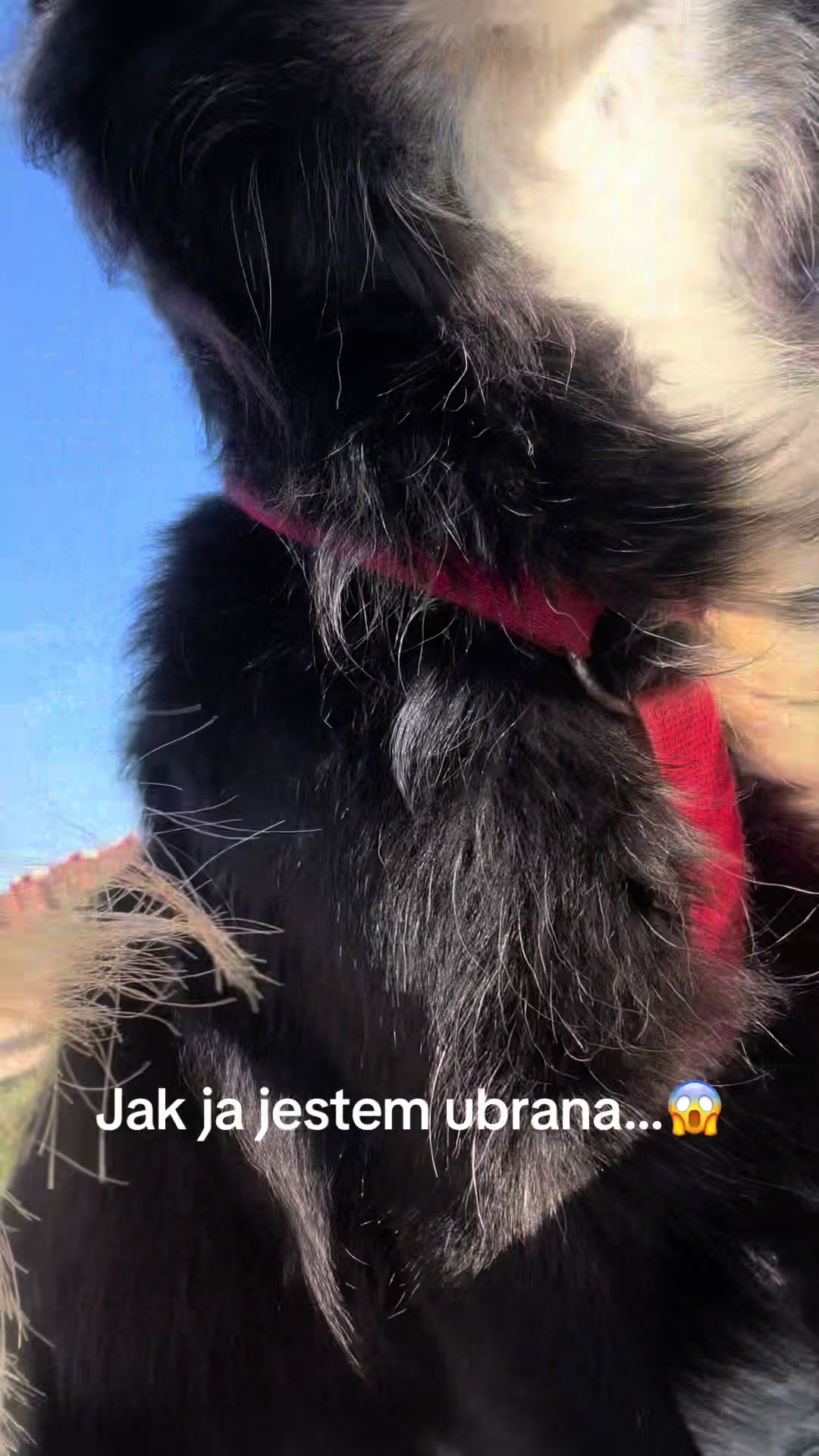 @selfloverka