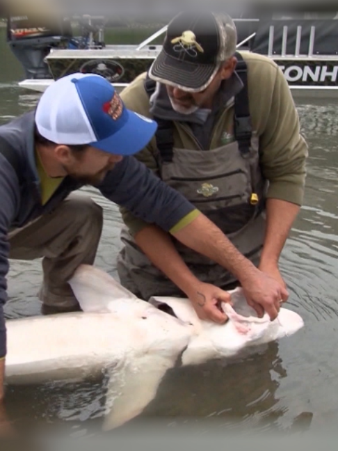 @Fishing TV
