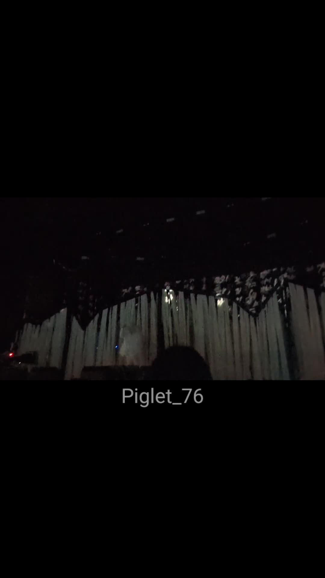 @Piglet_76