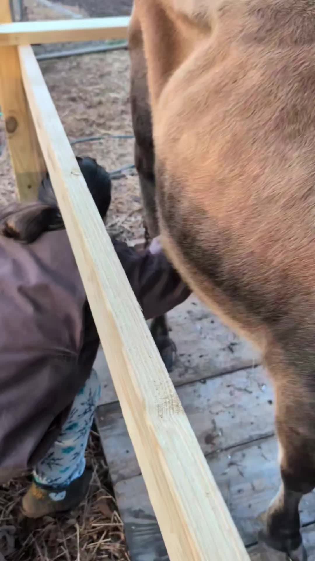 @WholesomeRoots