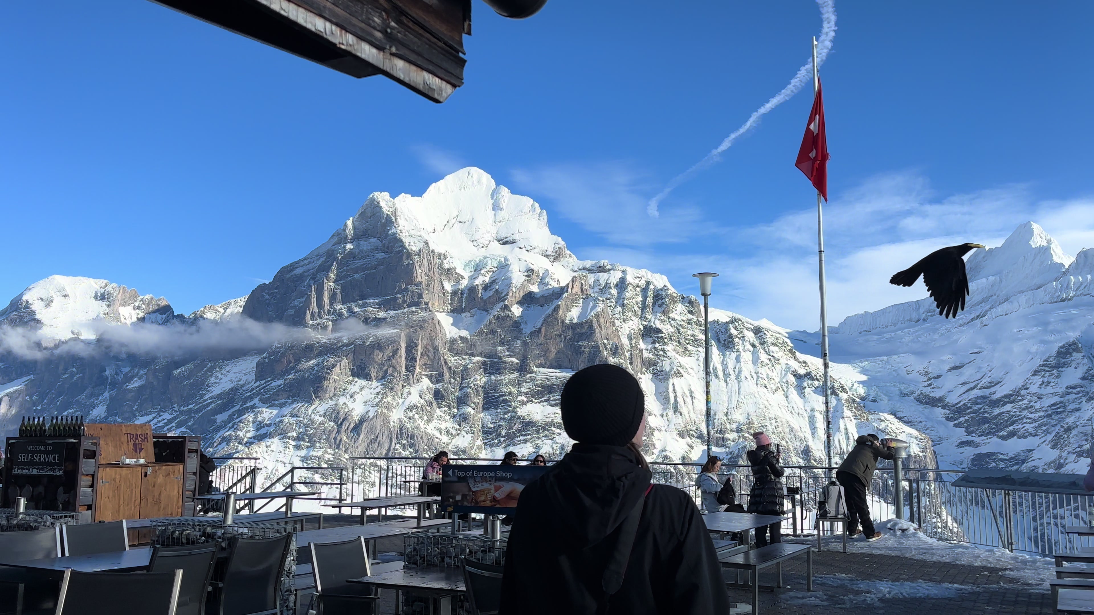 @Fiakosaure 🗻📹