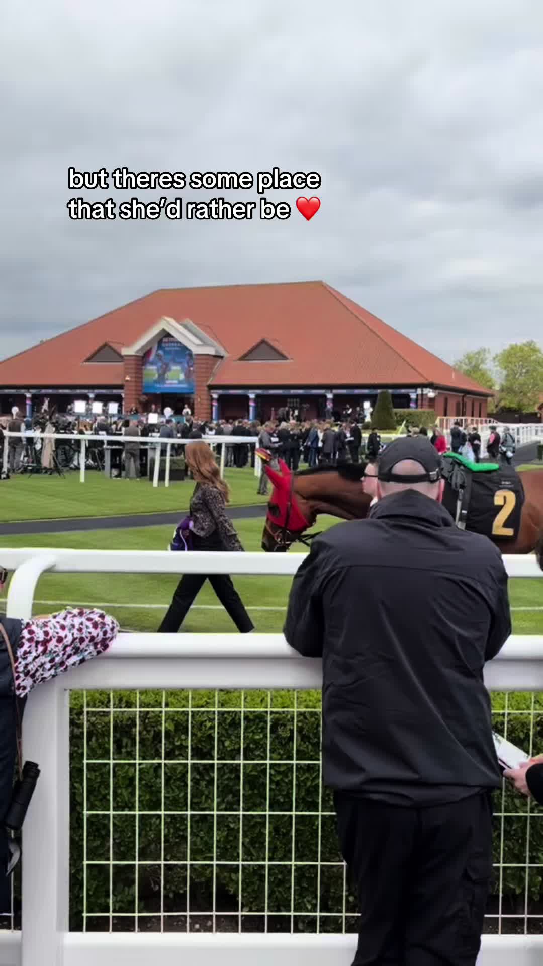@julia 🏇🏻